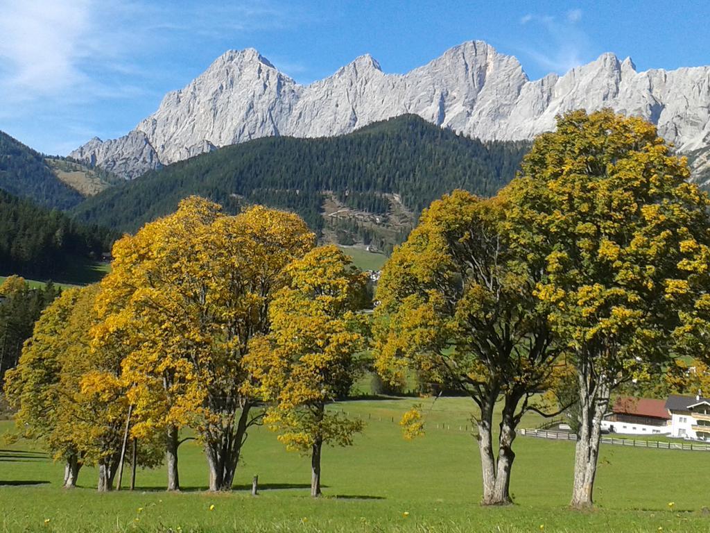 Appartement Oesterreich Ramsau am Dachstein