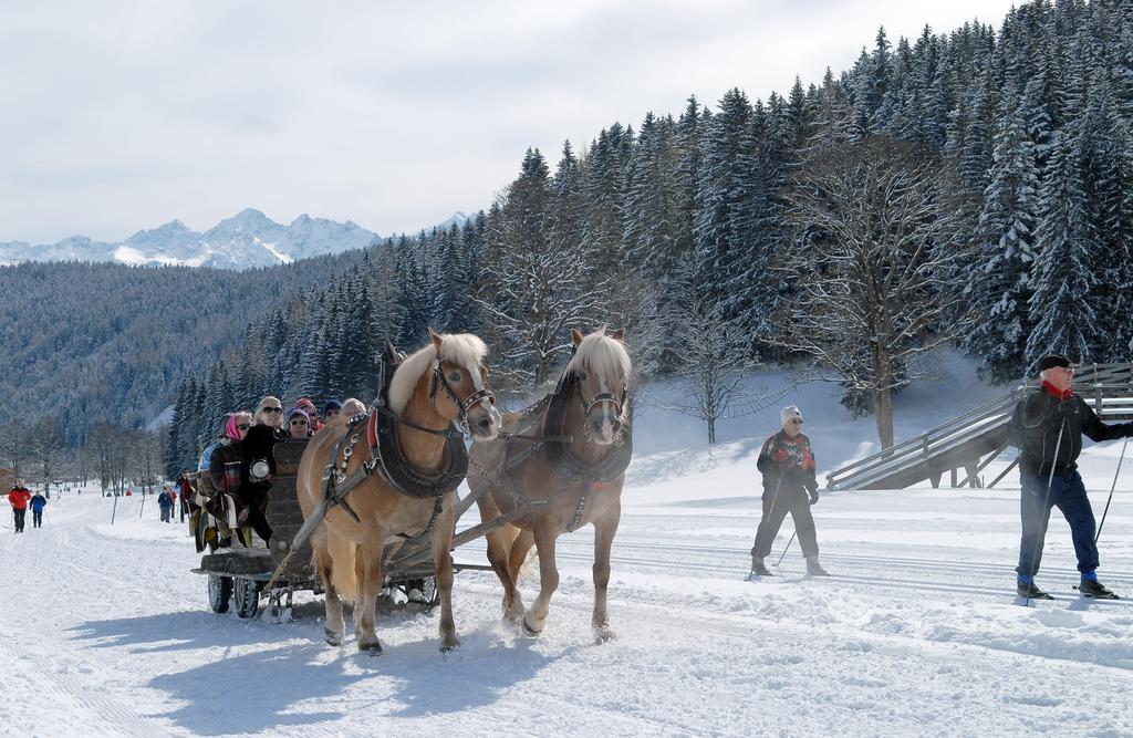 Oesterreich Appartement Ramsau am Dachstein