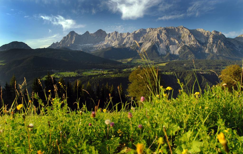 Appartement Oesterreich