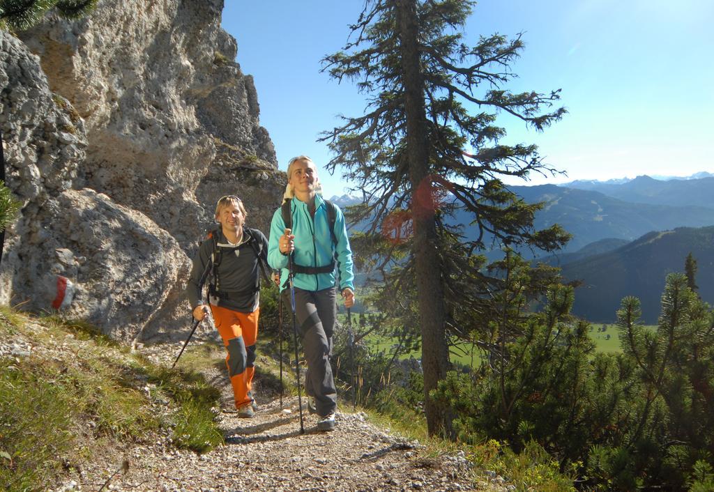 Oesterreich Appartement Ramsau am Dachstein